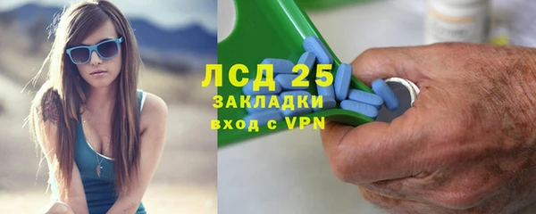 индика Алзамай