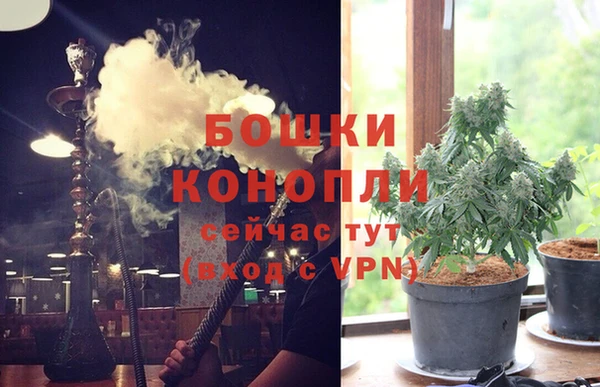 индика Алзамай