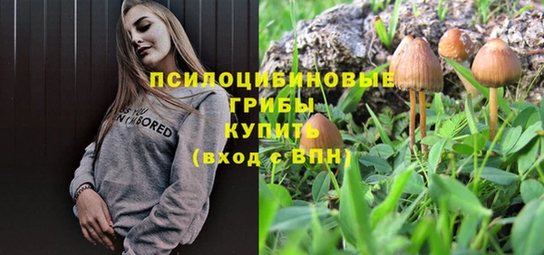 индика Алзамай