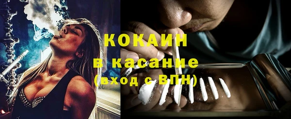 индика Алзамай