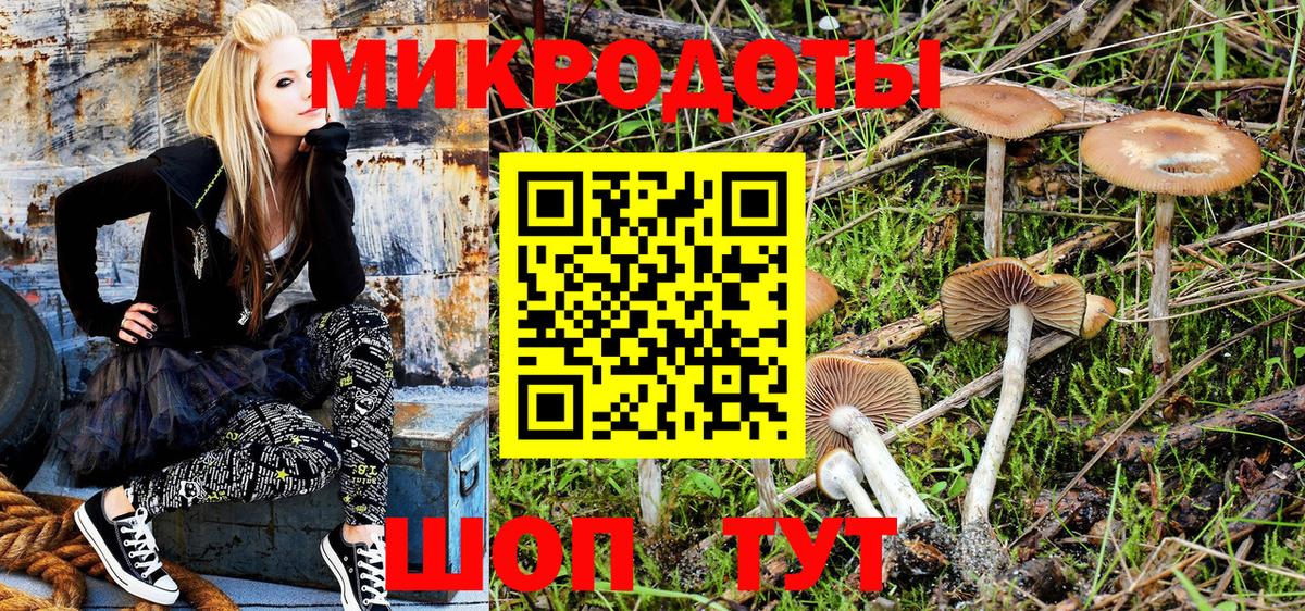Псилоцибиновые грибы Psilocybe  где купить наркоту  Псилоцибиновые грибы Psilocybine cubensis  Кропоткин  Вход с VPN 