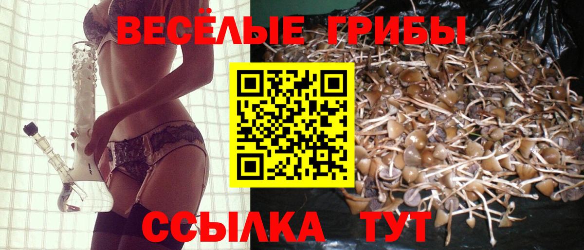 Псилоцибиновые грибы ЛСД Кропоткин